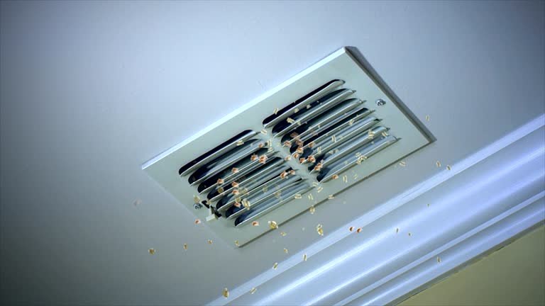 Best Air Duct Cleaning Near Me  in Seminole, TX