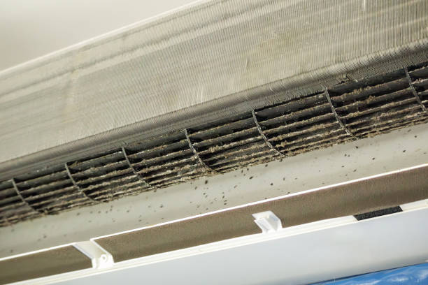 Best Commercial Air Duct Cleaning  in Seminole, TX